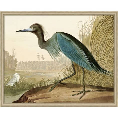 Audubons Blue Heron 2-Wendover-WEND-28188-Wall Art-1-France and Son
