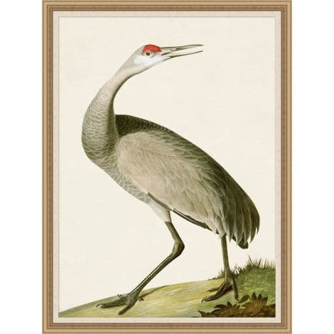 Audubons Egret-Wendover-WEND-28190-Wall Art-1-France and Son