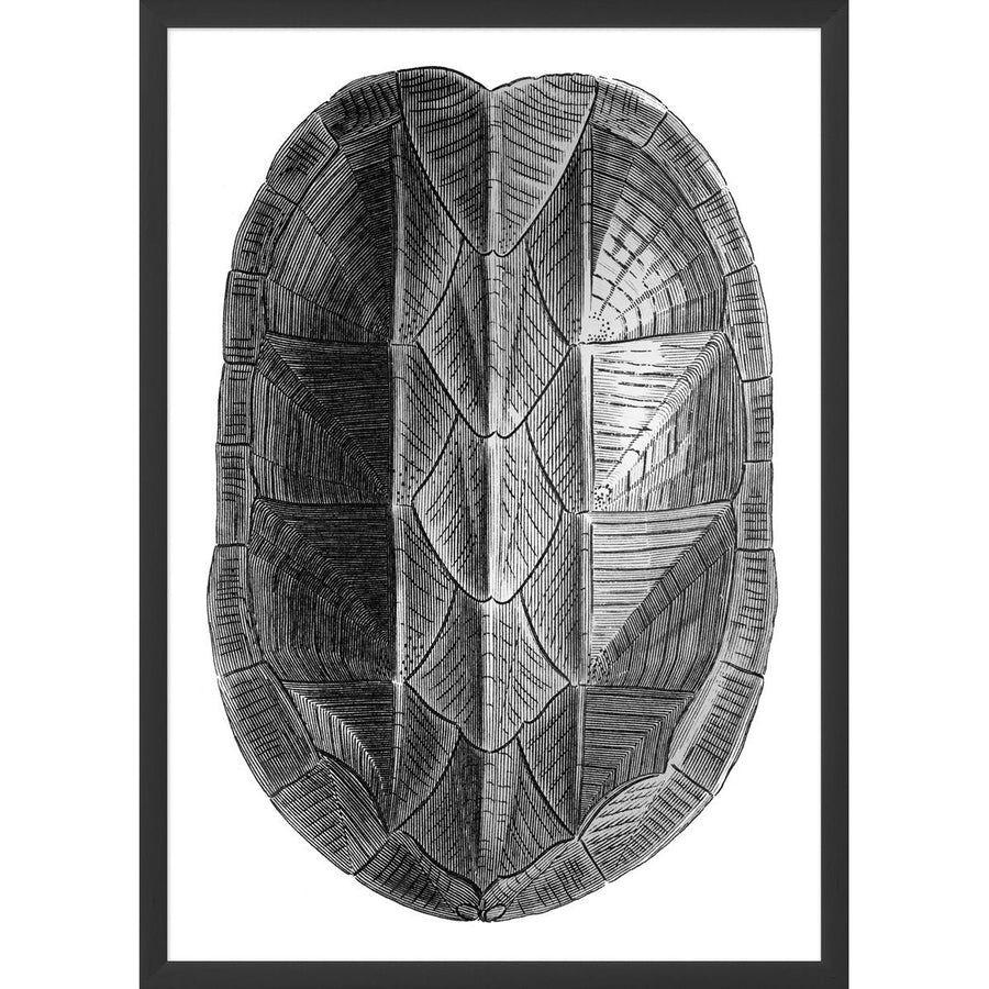 Turtle Shell Metallic 1-Wendover-WEND-29698-Wall Art-1-France and Son