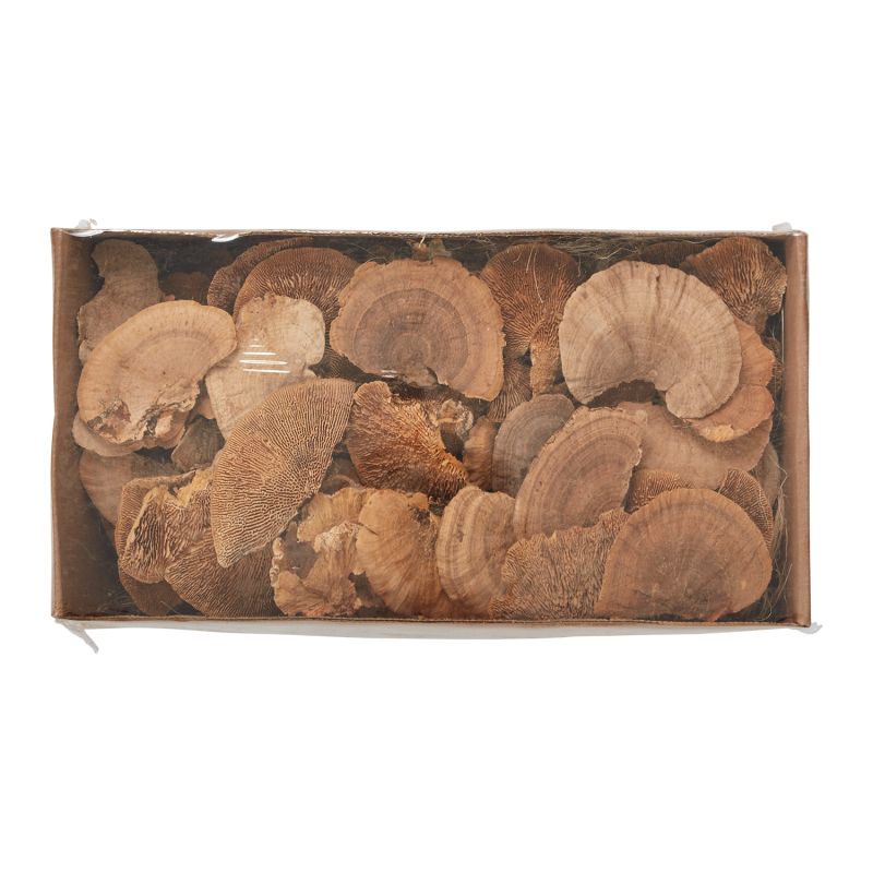 Dried Sponge Mushroom-Accent Decor-ACCENT-29975-Decorative ObjectsSmall-Natural-2-France and Son