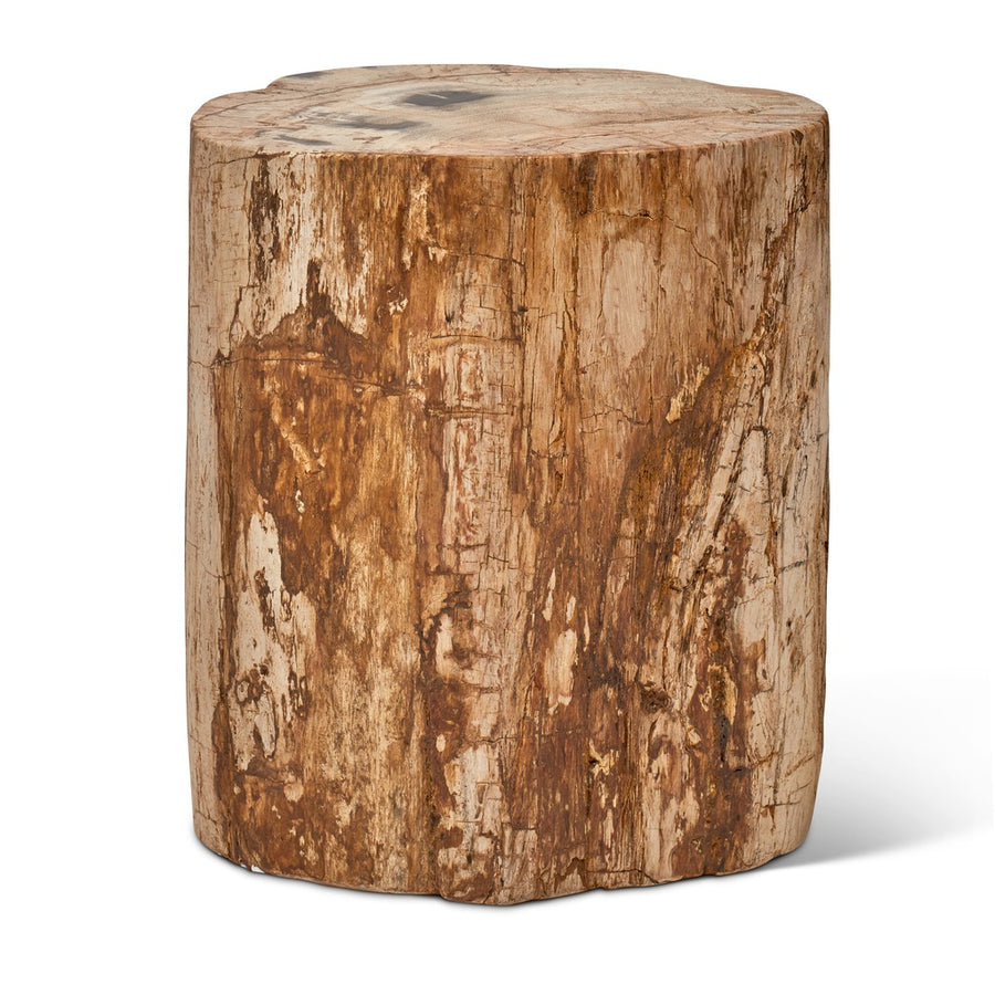Polished Petrified Wood Stump-Urbia-URBIA-IPJ-STUMP-FP-DK-Decorative Objects-1-France and Son