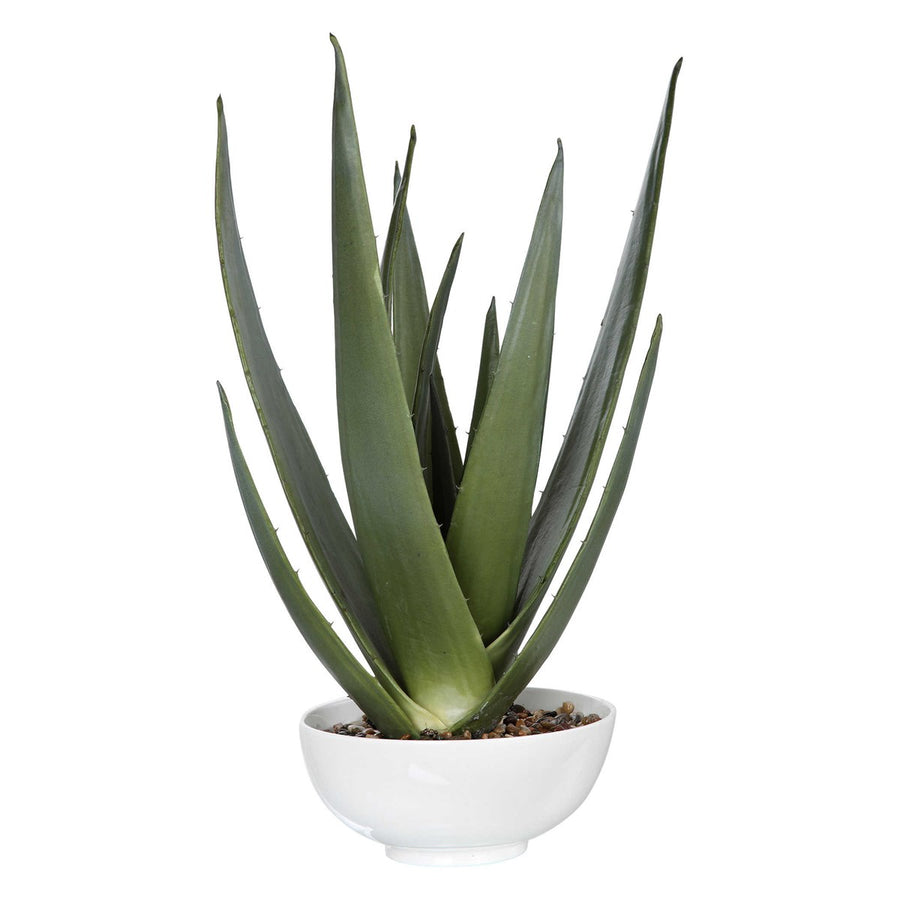 Evarado Aloe Planter-Uttermost-UTTM-60177-Decor-1-France and Son