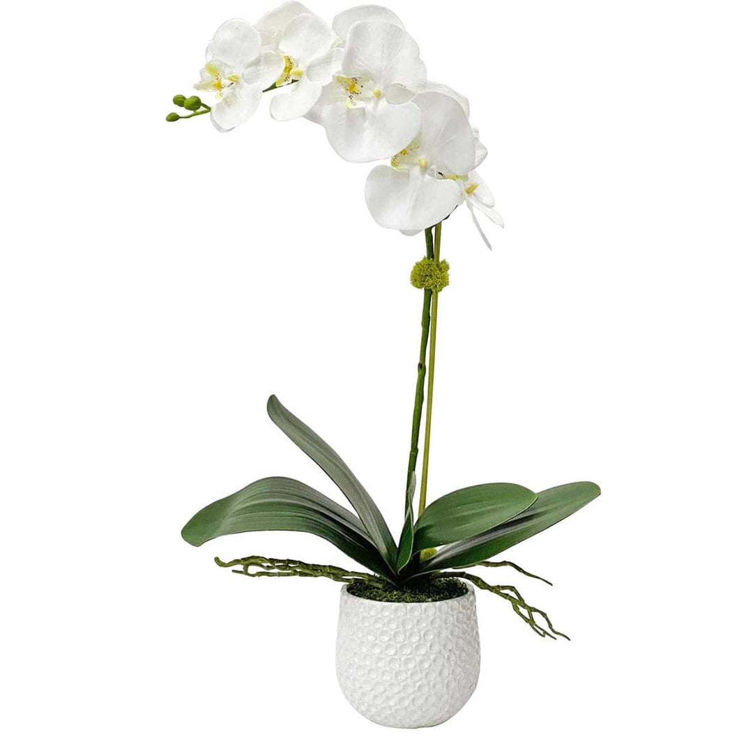 Cami Orchid-Uttermost-UTTM-60178-DecorWhite Pot-3-France and Son