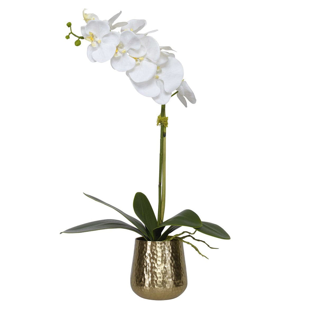 Cami Orchid-Uttermost-UTTM-60189-DecorBrass Pot-4-France and Son
