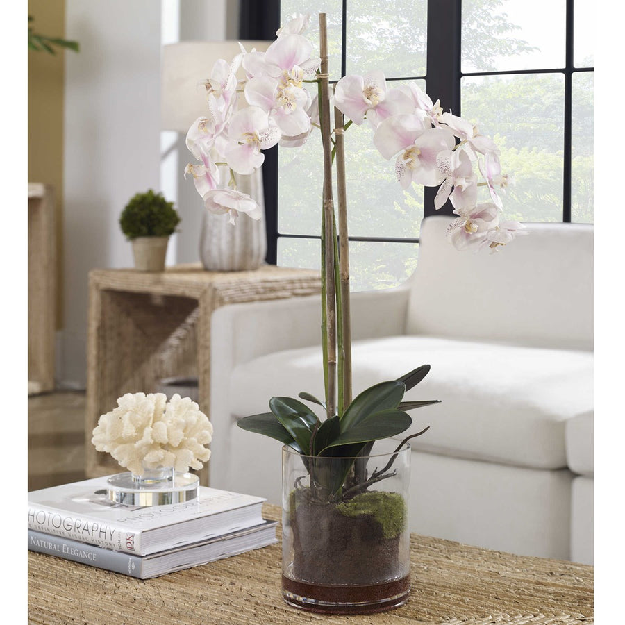 Uttermost Blush Pink And White Orchid-Uttermost-UTTM-60196-Decorative Objects-1-France and Son