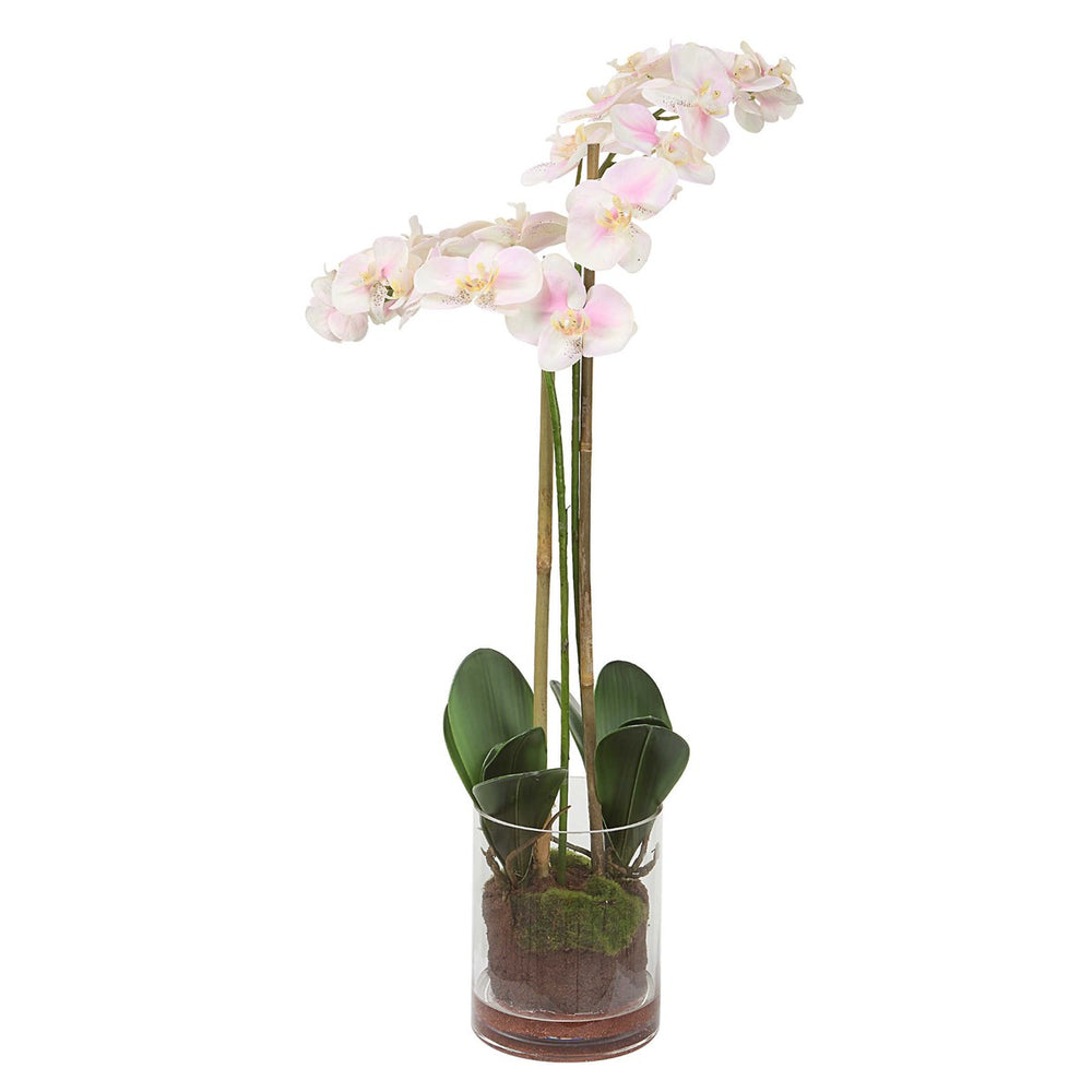 Uttermost Blush Pink And White Orchid-Uttermost-UTTM-60196-Decorative Objects-2-France and Son
