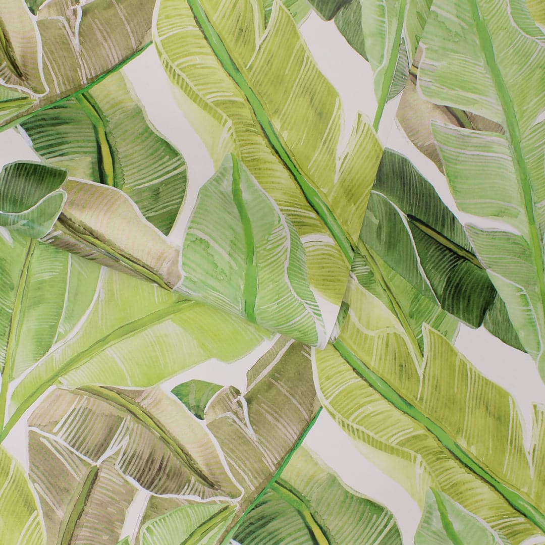 Bahama Palm Peel And Stick Wallpaper-Tempaper & Co.-Tempaper-BP15220-DecorKey Lime-6-France and Son