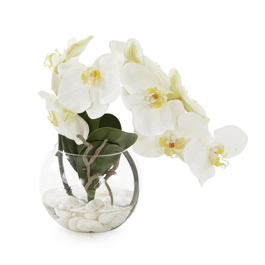 Aqua White Orchid-John Richard-JR-JRB-5047W-Planters-1-France and Son