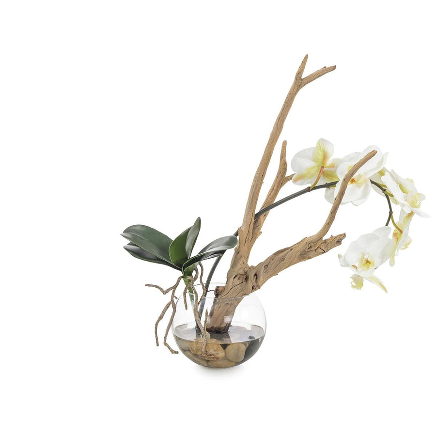 Ghost Orchid-John Richard-JR-JRB-5126W-Faux Plants-1-France and Son