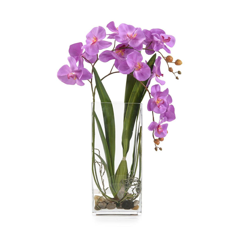 Deep Asian Orchid-John Richard-JR-JRB-5132W-Faux Plants-1-France and Son