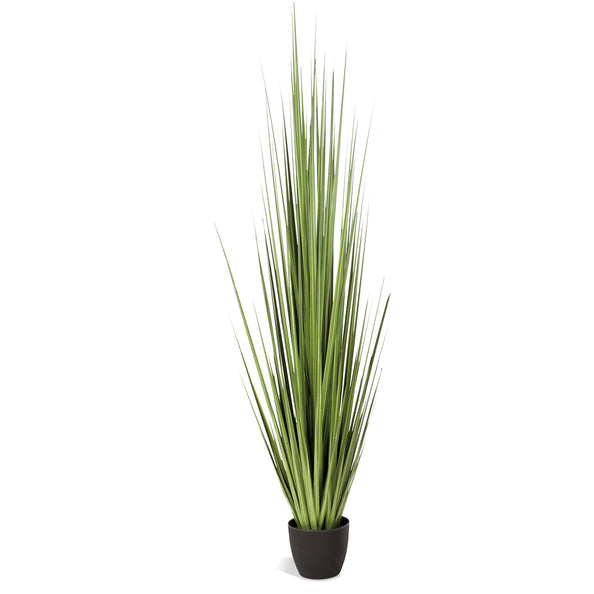 Century Grass Potted-Gold Leaf Design Group-GOLDL-PB2572-86-Faux Plants86"H-2-France and Son