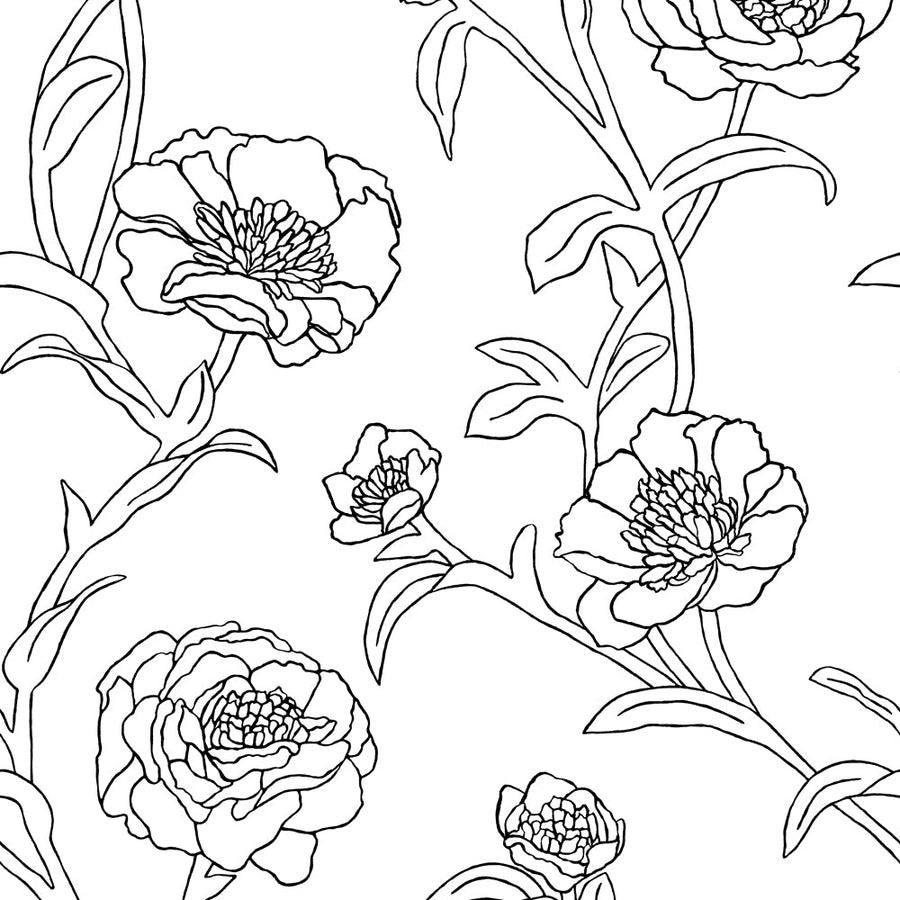 Peonies Peel And Stick Wallpaper-Tempaper & Co.-Tempaper-PE5250-Wall PaperBlack & White-1-France and Son