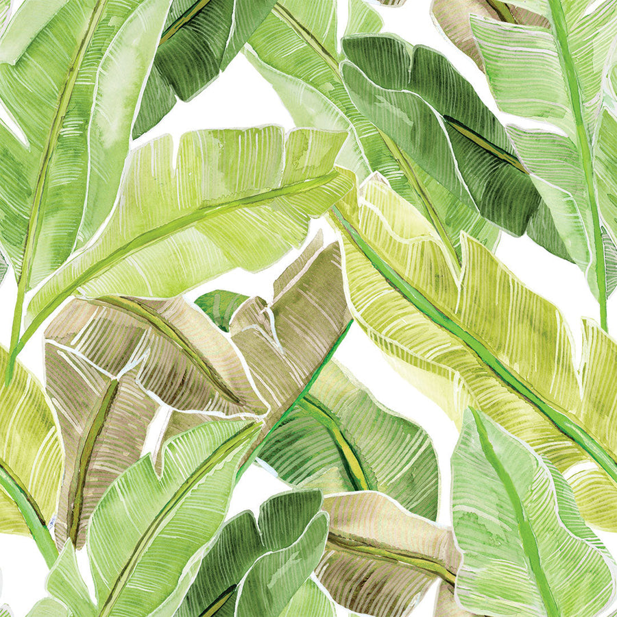Bahama Palm Peel And Stick Wallpaper-Tempaper & Co.-Tempaper-BP15220-DecorKey Lime-1-France and Son
