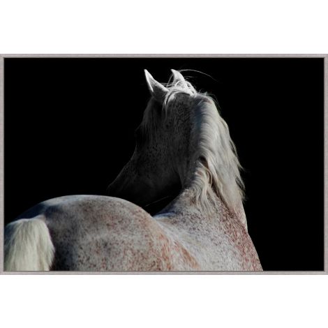 Horse Shadows-Wendover-WEND-WST0014-Wall Art-1-France and Son