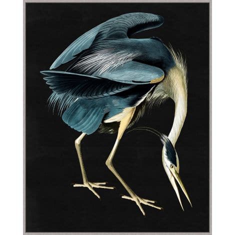 Grand Audubon 1-Wendover-WEND-WTFH1276-Wall Art-1-France and Son