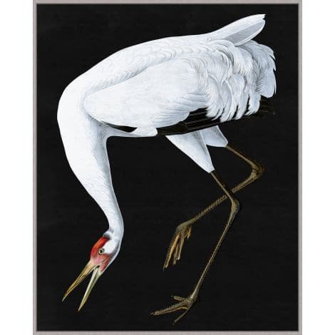 Grand Audubon 2-Wendover-WEND-WTFH1277-Wall Art-1-France and Son