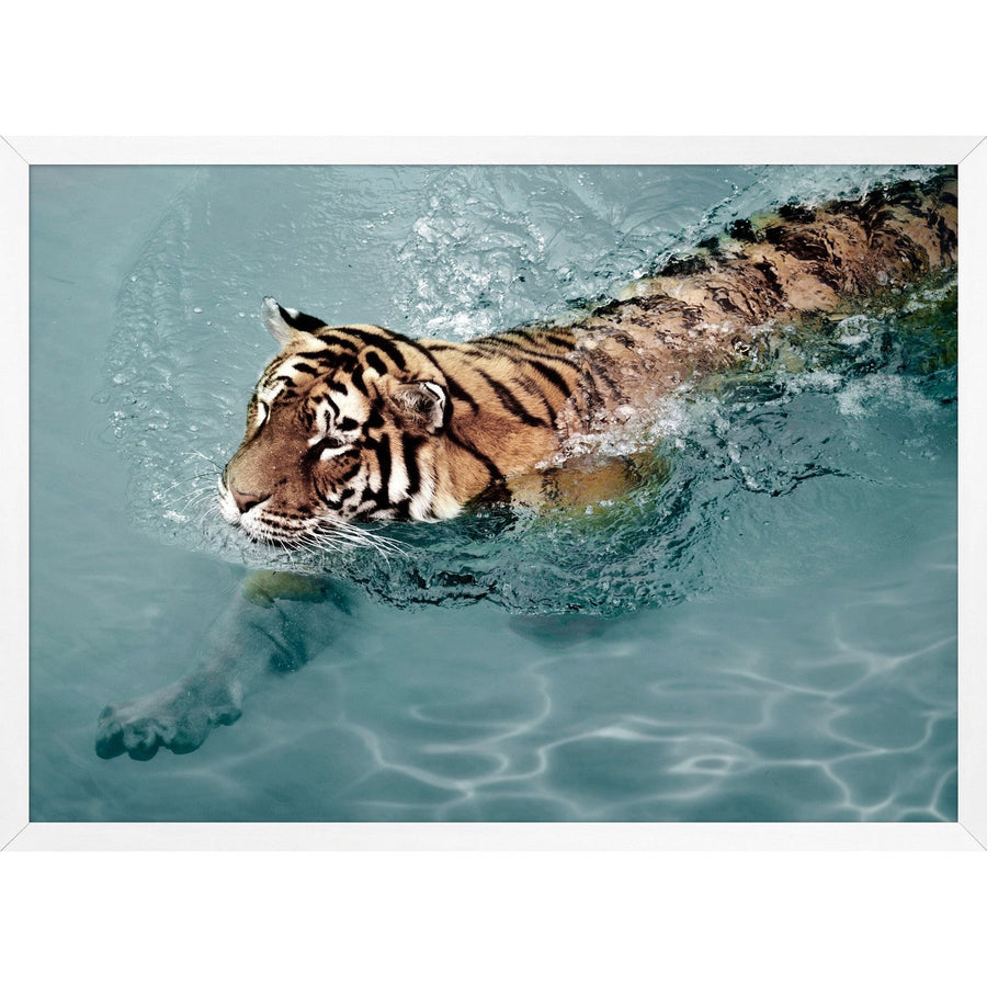 Tiger Swim 2-Wendover-WEND-WCON013-Wall Art-1-France and Son