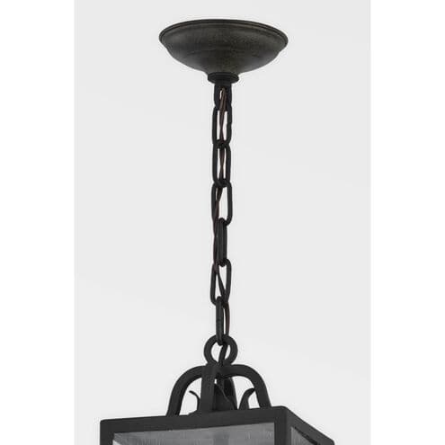 Caiden Lantern-Troy Lighting-TROY-F2066-FOR-Outdoor Pendants-3-France and Son