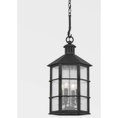 Lake County Lantern-Troy Lighting-TROY-F2526-FRN-Outdoor Pendants-1-France and Son