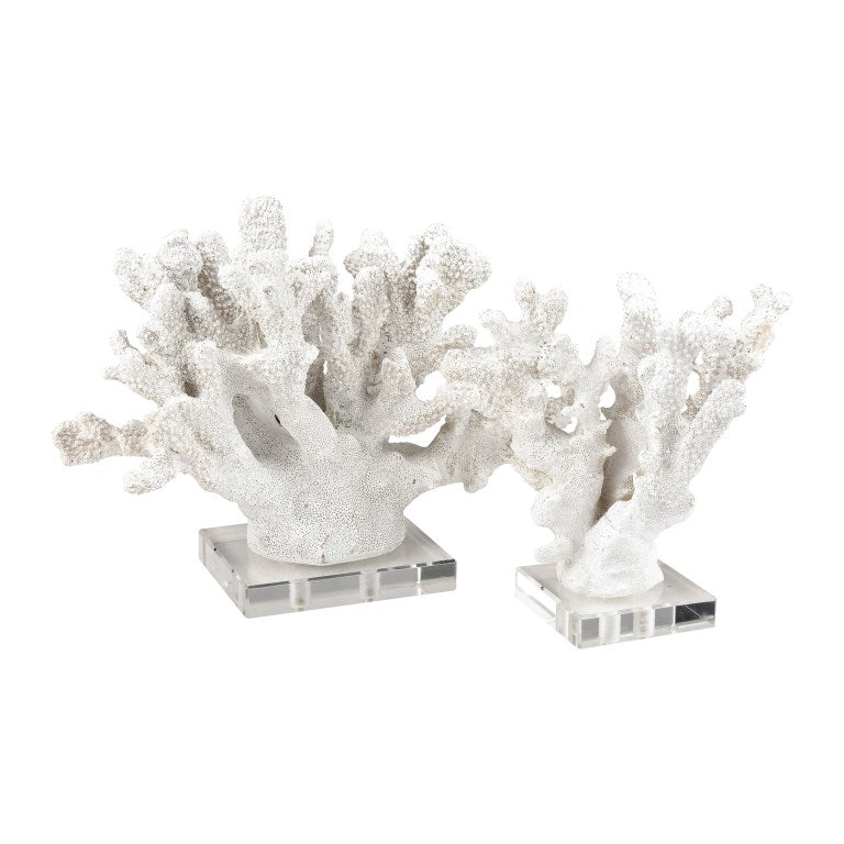 Coral Sculpture - Set of 2-Elk Home-ELK-S0036-8945/S2-Decorative Objects-1-France and Son
