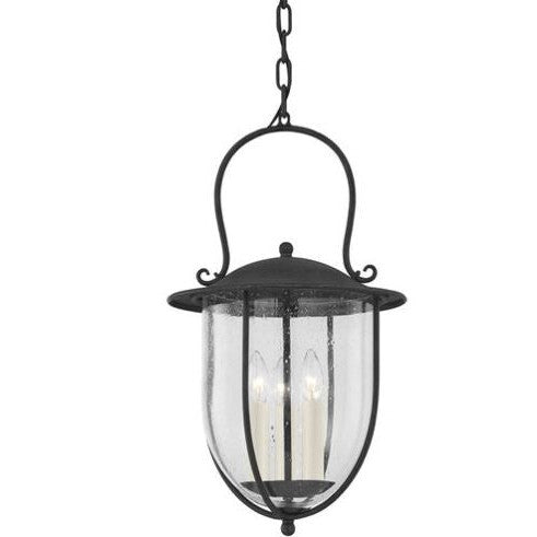 Monterey County Pendant-Troy Lighting-TROY-F5725-FRN-Outdoor Pendants-1-France and Son
