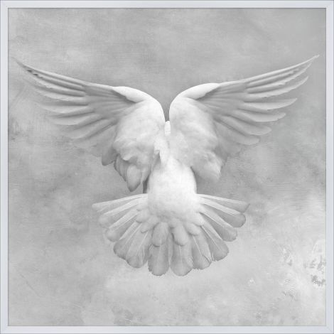 Soft Dove-Wendover-WEND-WAN2142-Wall Art-1-France and Son