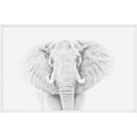 Elephant Portrait-Wendover-WEND-WAN2149-Wall Art-1-France and Son