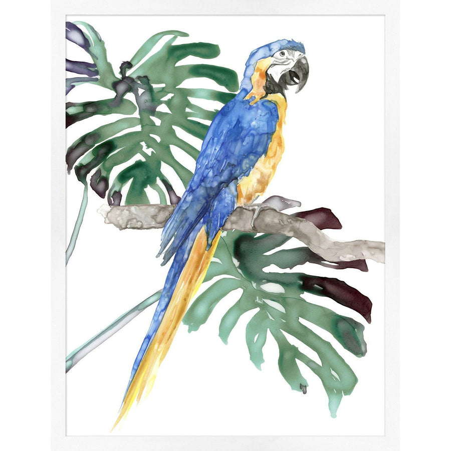 Perched Parrot 1 (WCL1267)-Wendover-WEND-WCL1267-Wall Art-1-France and Son
