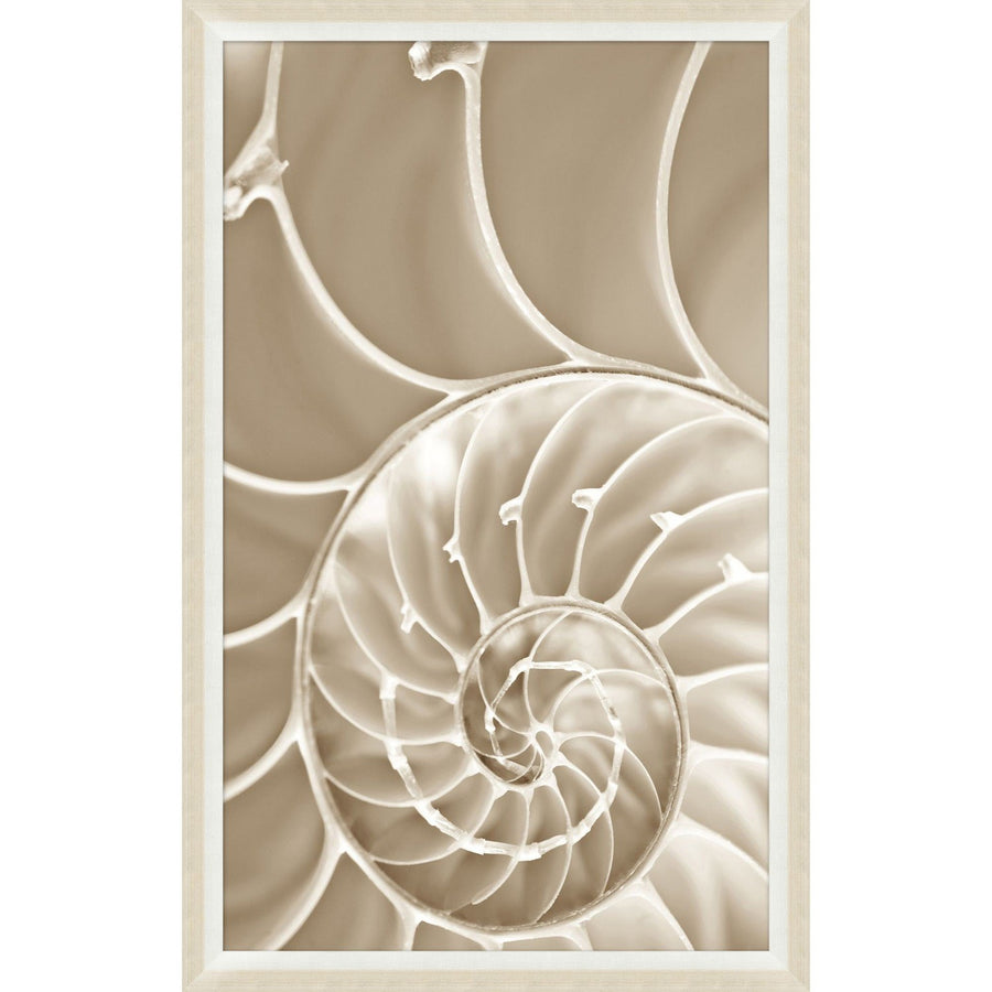 Sepia Nautlus Shell 1-Wendover-WEND-WCL1569-Wall Art-1-France and Son