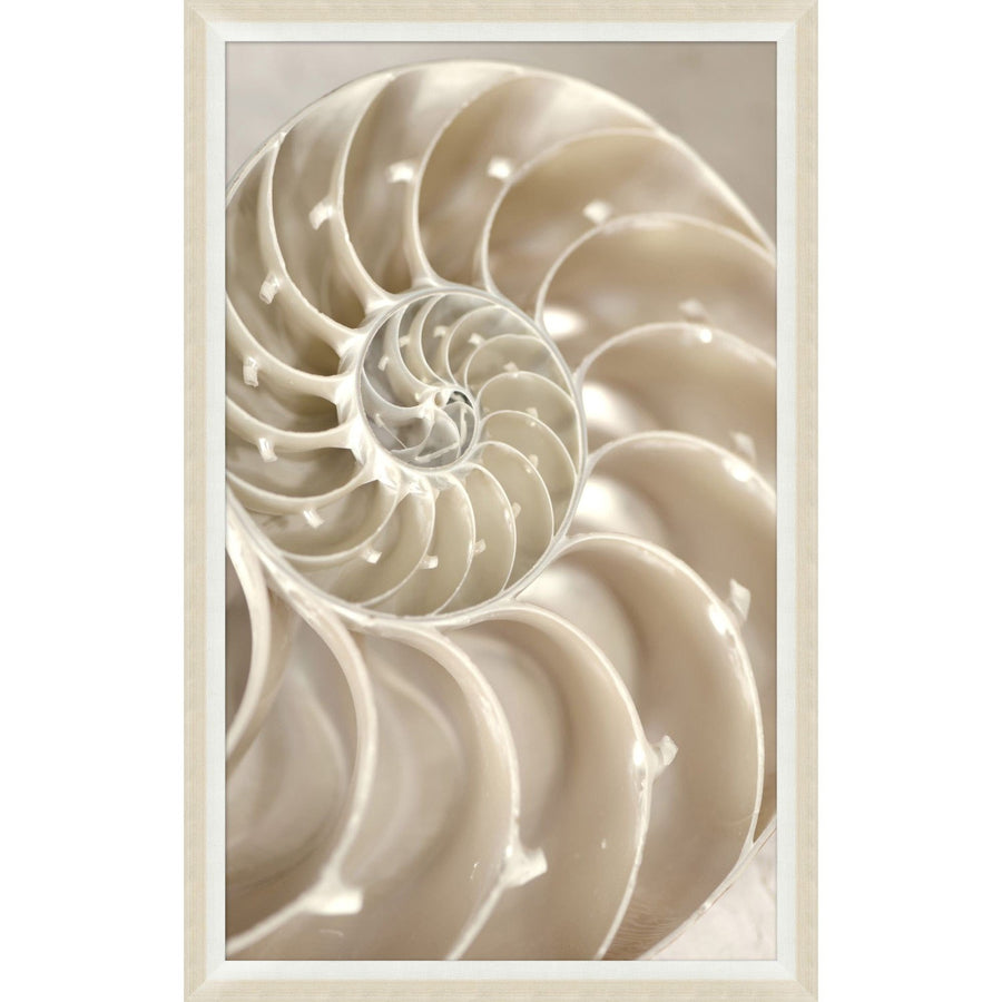 Sepia Nautlus Shell 2-Wendover-WEND-WCL1570-Wall Art-1-France and Son