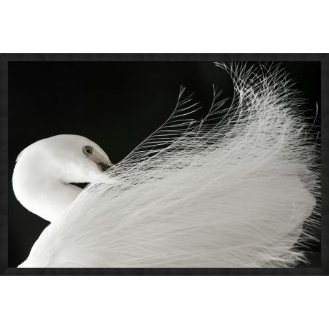 Exquisite Egret-Wendover-WEND-WLA1752-Wall Art-1-France and Son
