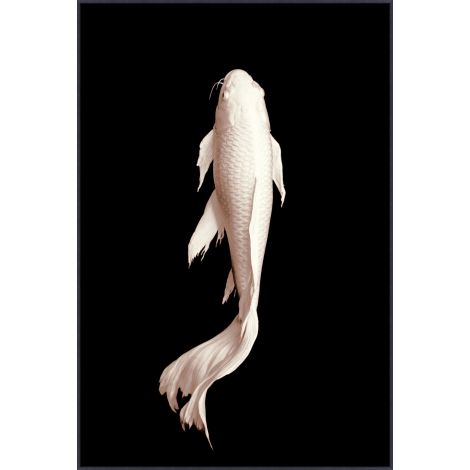 White Koi 1-Wendover-WEND-WMS0001-Wall Art-1-France and Son