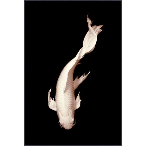 White Koi 2-Wendover-WEND-WMS0002-Wall Art-1-France and Son