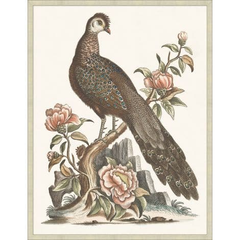 Grand Pheasant 1-Wendover-WEND-WNT1227-Wall Art-1-France and Son