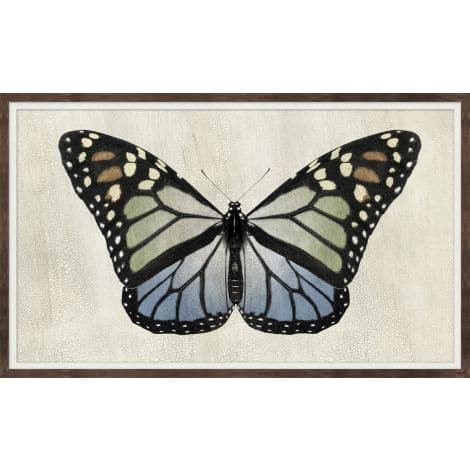 Antique Moth 1-Wendover-WEND-WNT1985-Wall Art-1-France and Son