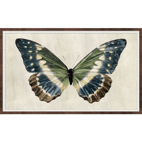 Antique Moth 2-Wendover-WEND-WNT1986-Wall Art-1-France and Son