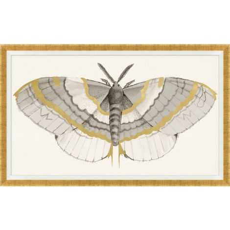 Golden Moth 1-Wendover-WEND-WNT2080-Wall Art-1-France and Son