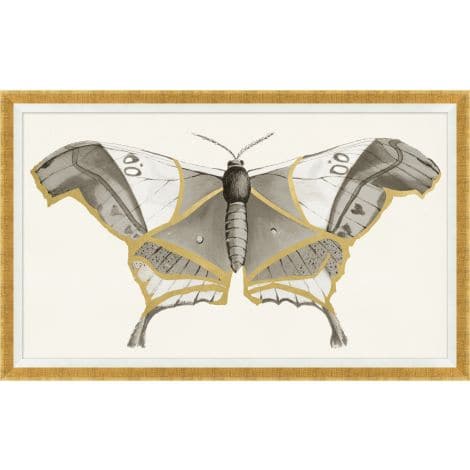 Golden Moth 2-Wendover-WEND-WNT2081-Wall Art-1-France and Son