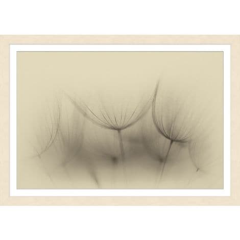 Wispy Blooms-Wendover-WEND-WPH1329-Wall Art-1-France and Son