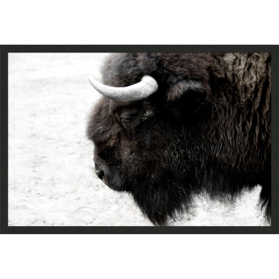 Bison Profile-Wendover-WEND-WPH1500-Wall Art-1-France and Son