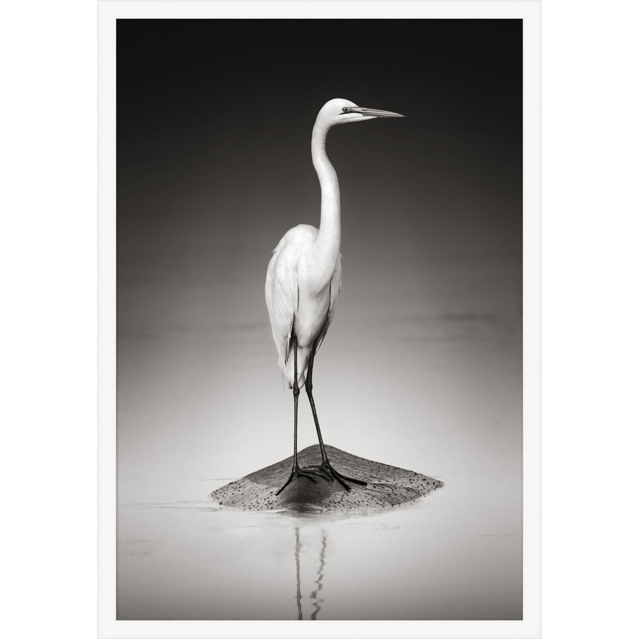 Posing Egret-Wendover-WEND-WPH1598-Wall Art-1-France and Son