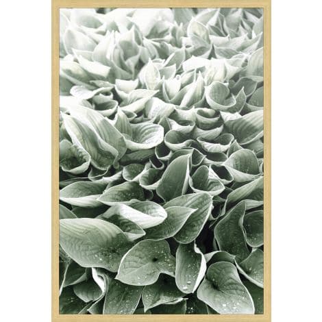 Green Leaves 1-Wendover-WEND-WPH1656-Wall Art-1-France and Son