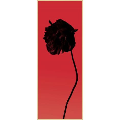Shadow Poppy 1-Wendover-WEND-WPH1758-Wall Art-1-France and Son