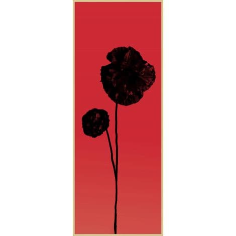 Shadow Poppy 2-Wendover-WEND-WPH1759-Wall Art-1-France and Son