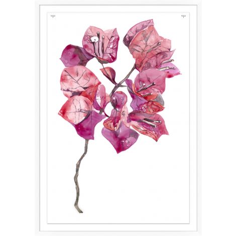 Pink Bougainvillea 1-Wendover-WEND-WTUR0201-Wall Art-1-France and Son