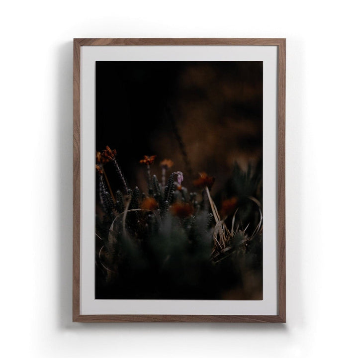 First Bloom By Annie Spratt-Four Hands-FH-230433-001-Wall Art-1-France and Son