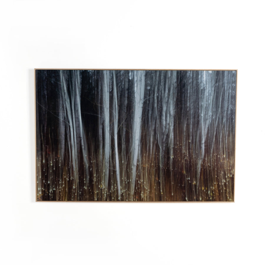 Woodland Blur By Getty Images-Four Hands-FH-237999-001-Wall Art48X32"-1-France and Son