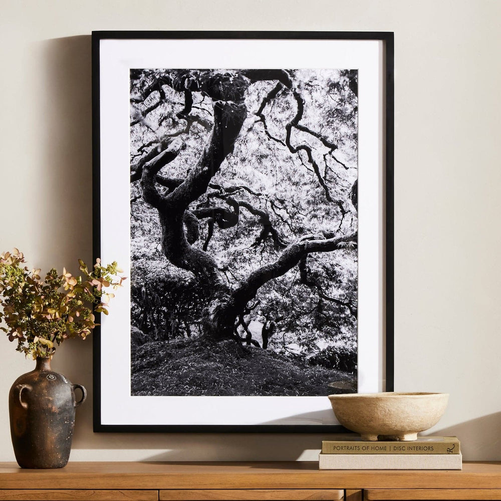 Tree Gaze IV By Coup D'esprit-Four Hands-FH-238423-001-Wall Art-2-France and Son