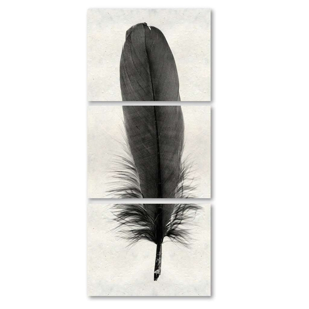 Feather #6 Trilogy Print