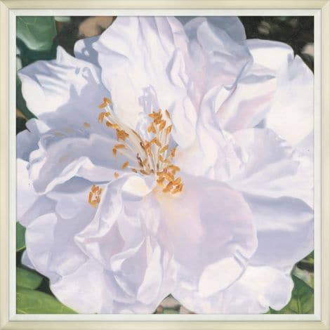 Camellia Closeup-Wendover-WEND-WFL2037-Wall ArtI-1-France and Son